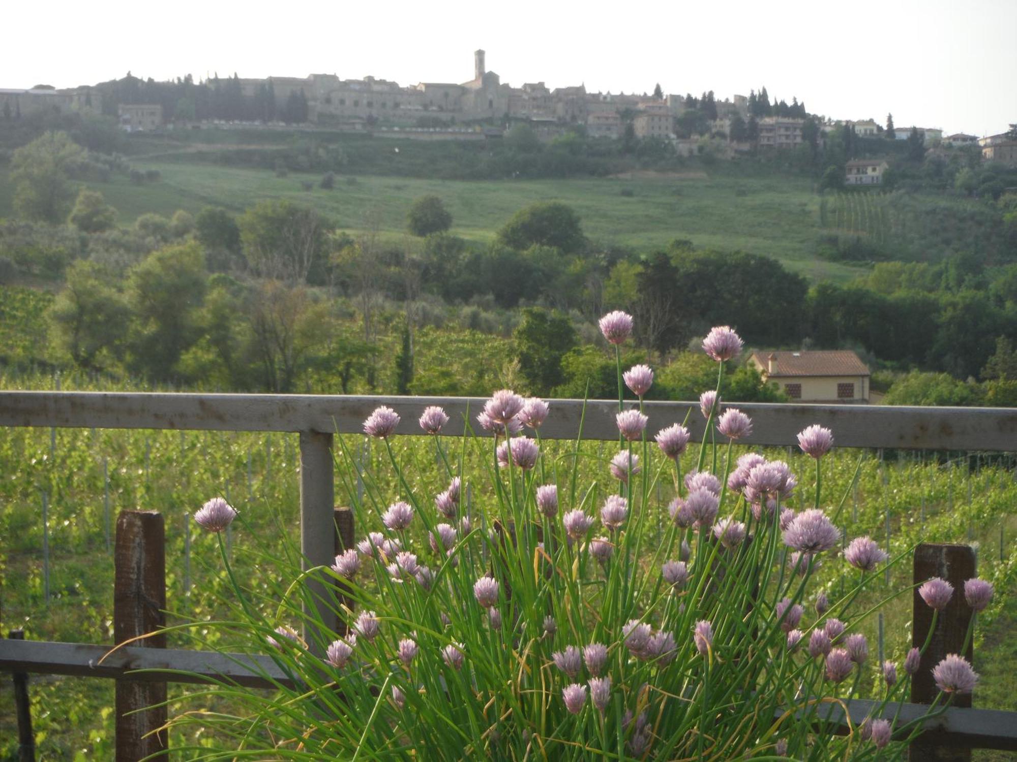 Due Piani Villa Barberino di Val dʼElsa Buitenkant foto